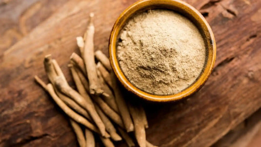 Planta adaptógena de Ashwagandha