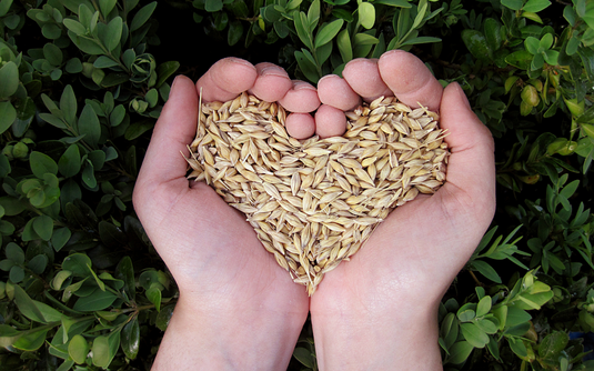 Top 7 mejores ingredientes y sus principios activos para proteger tu corazón