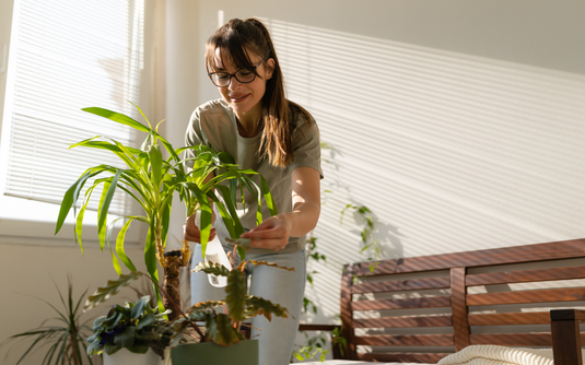 Top mejores alimentos para procurar el bienestar mental