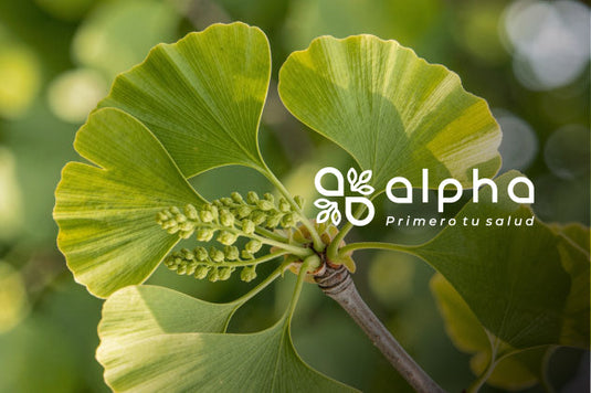 plantas adaptogenas alpha