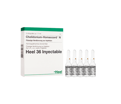 Chelidonium Homaccord Ampolla Heel