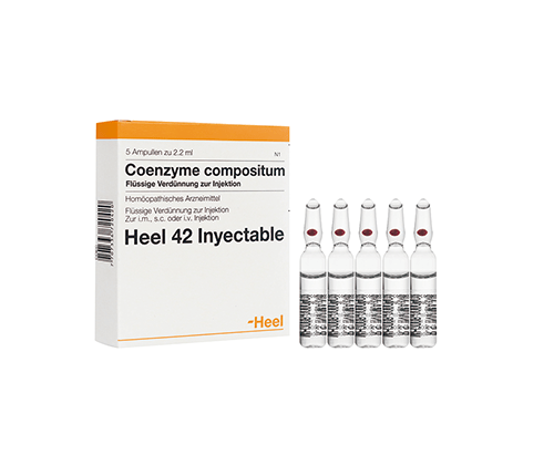 Coenzyme Compositum Ampolla Heel. Alpha Homeopáticos