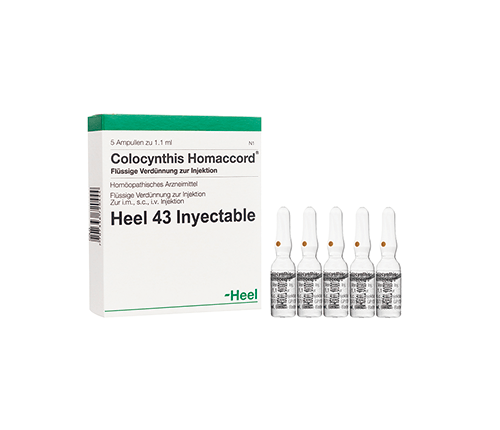 Colocynthis Homaccord Ampolla Heel. Alpha Homeopáticos