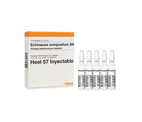 Echinacea Compositum Ampolla Heel. Alpha Homeopáticos