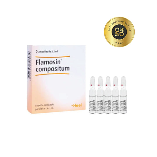 Flamosin Ampolla Heel