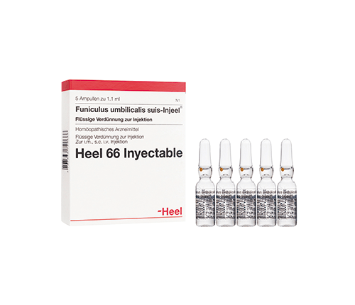 Funiculus Umbilicalis Suis Injeel Ampolla Heel. Alpha Homeopáticos