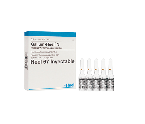 Galium-Heel Ampolla Heel. Alpha Homeopáticos