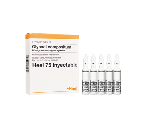 Glyoxal Compositum Ampolla Heel. Alpha Homeopáticos