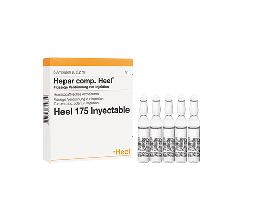 Hepar Compositum Ampolla Heel. Alpha Homeopáticos