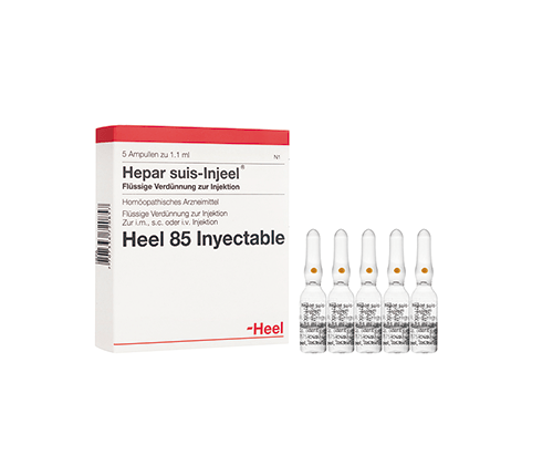 Hepar Suis-Injeel Ampolla Heel. Alpha Homeopáticos