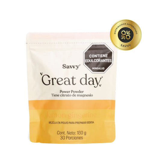 Great Day - Limonada de Jengibre Savvy 180 gr