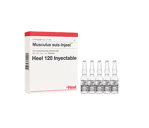 Musculus Suis-Injeel Ampolla Heel Alpha Homeopáticos