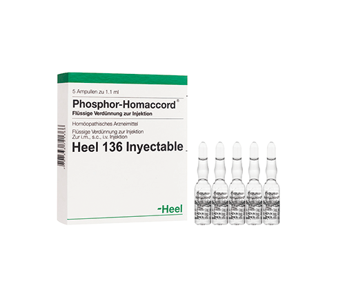 Phosphor Homaccord Ampolla Heel Alpha Homeopáticos