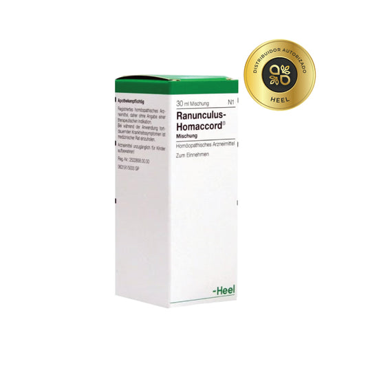 Ranunculus Homaccord Gotas Heel