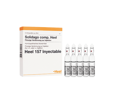 Solidago Compositum Ampolla Heel Alpha Homeopáticos