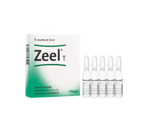Zeel T Ampolla Heel Alpha Homeopáticos