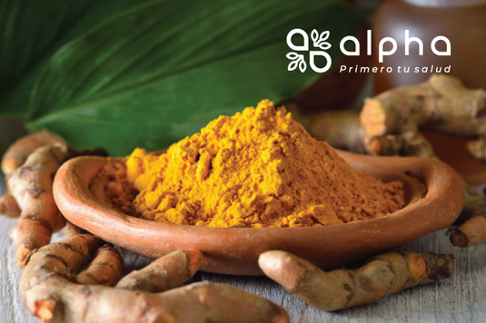Cúrcuma y antioxidantes vegetales: una mirada actual a su uso dentro del bienestar natural
