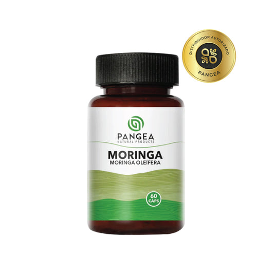 Moringa Pangea Cápsulas por 60