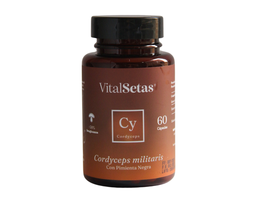 Cordyceps, vitalsetas, cordyceps