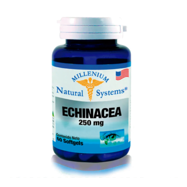 Echinacea 250 mgs Natural Systems 60 caps Alpha Homeopáticos