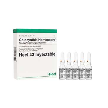 Colocynthis Homaccord Ampolla Heel. Alpha Homeopáticos