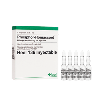 Phosphor Homaccord Ampolla Heel Alpha Homeopáticos